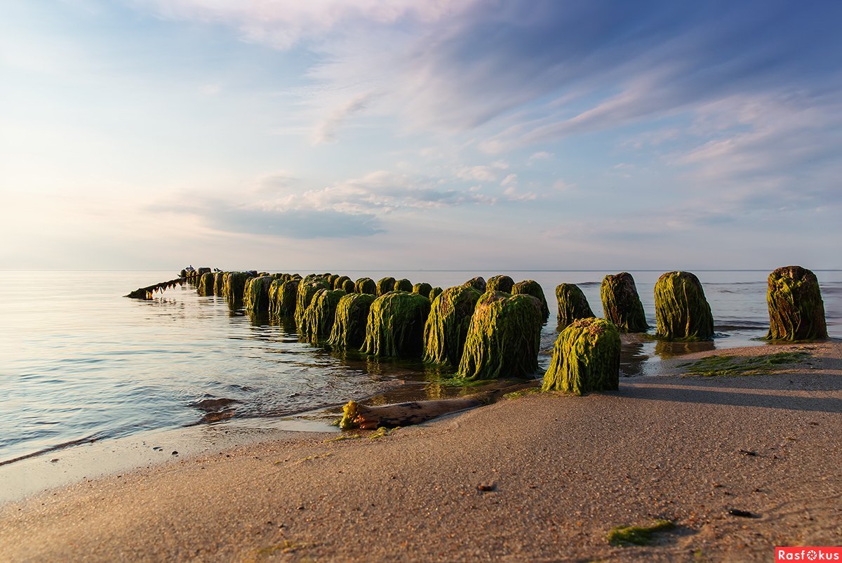 Калининград Балтийское море Куршская коса