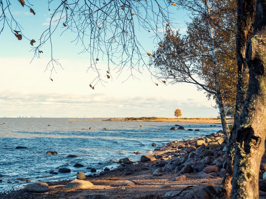 Репино берег финского залива осенью