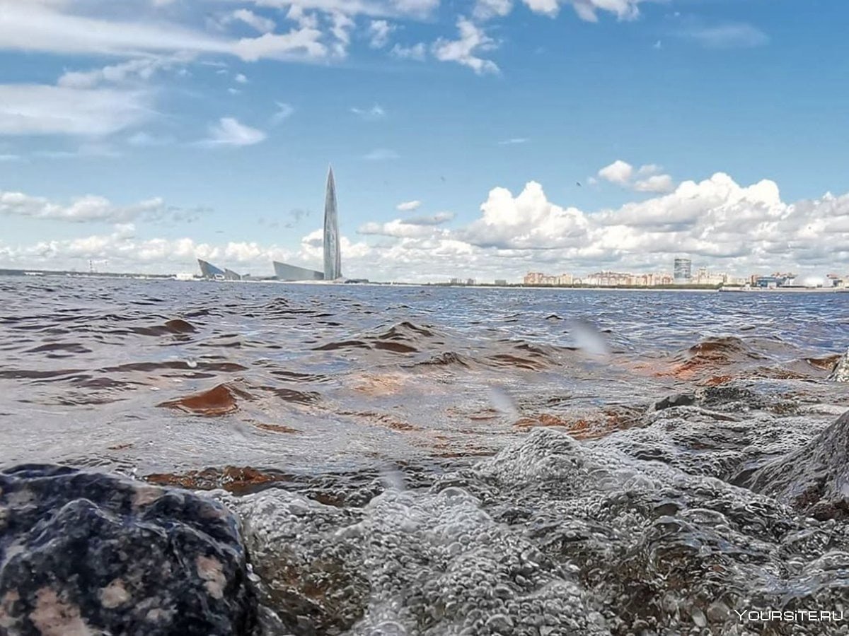 Вода балтийского моря