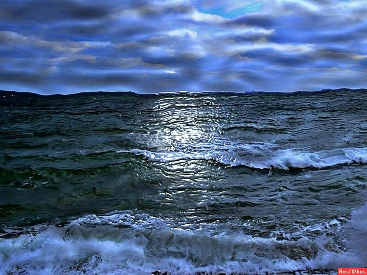 Холодное море