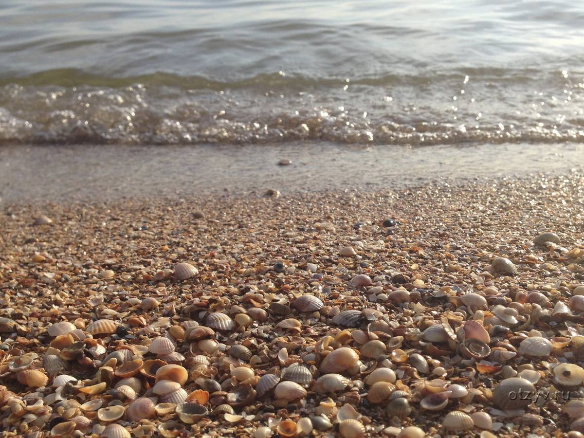 Галечный берег Азовского моря