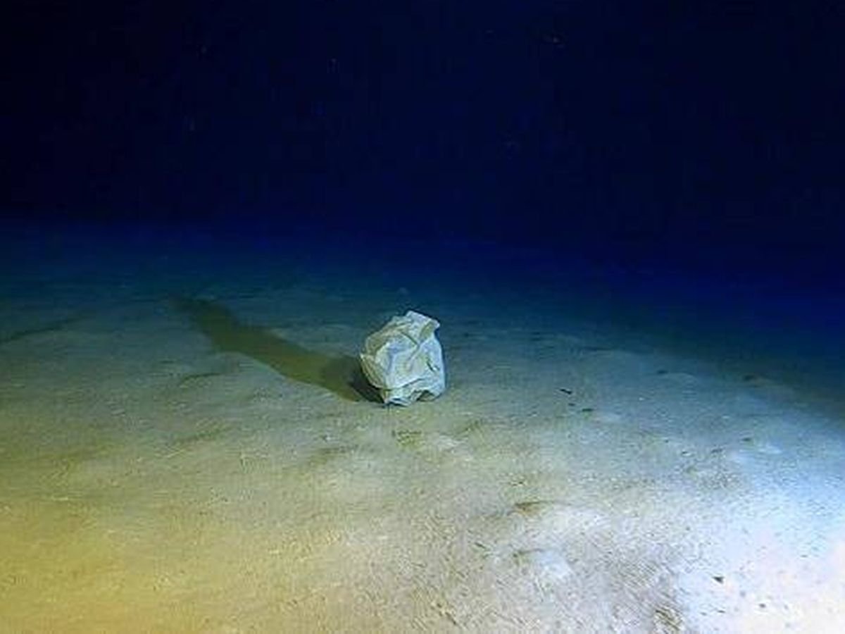 Дно Средиземного моря
