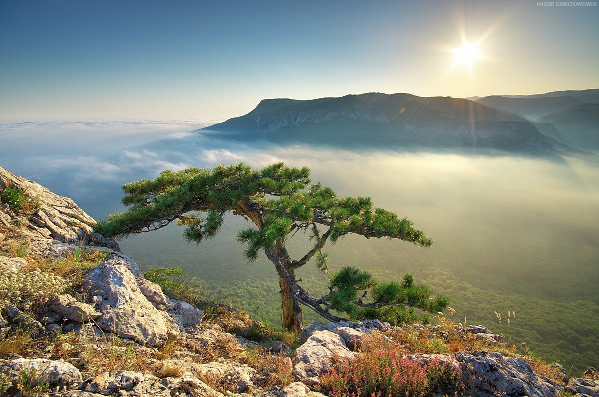 Орлиная гора в Крыму