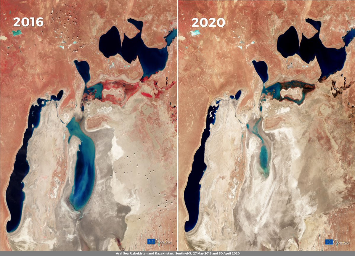 Аральское море 2020