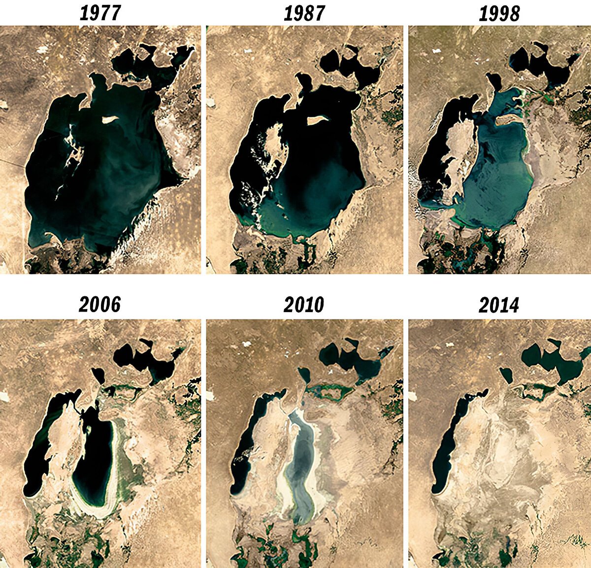 Аральское море 2020