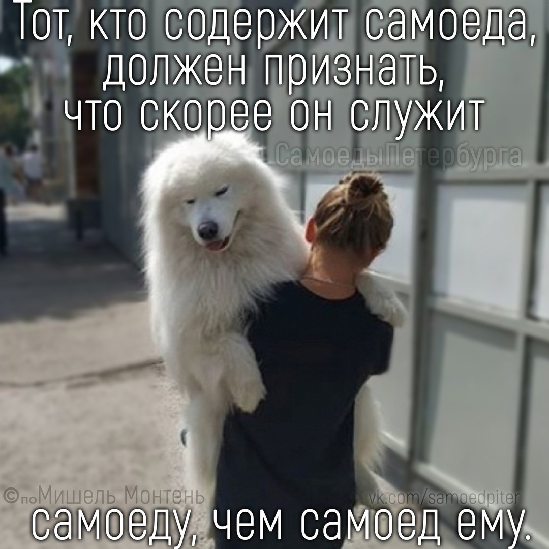 Самоед у микрофона