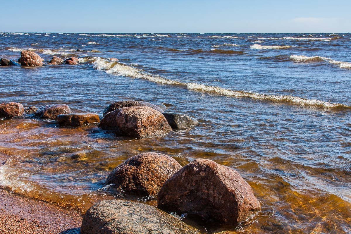 Берег Балтийского моря финский залив