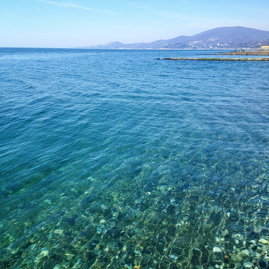 Черное море Сочи