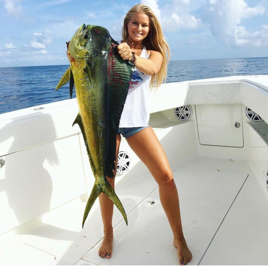 Mahi Mahi Fish