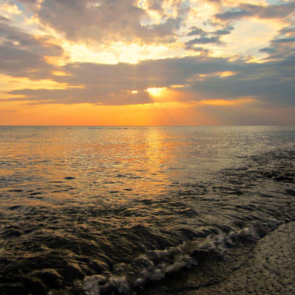 Солнце черного моря