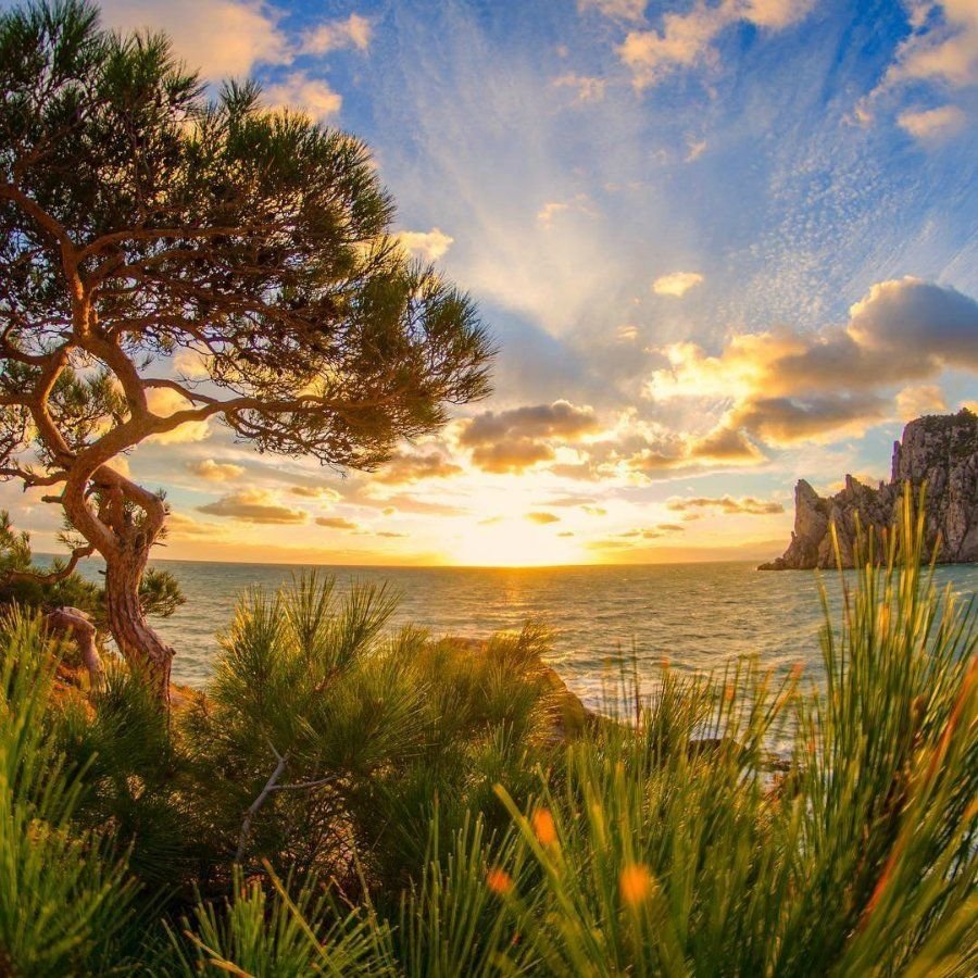 Природа Крыма
