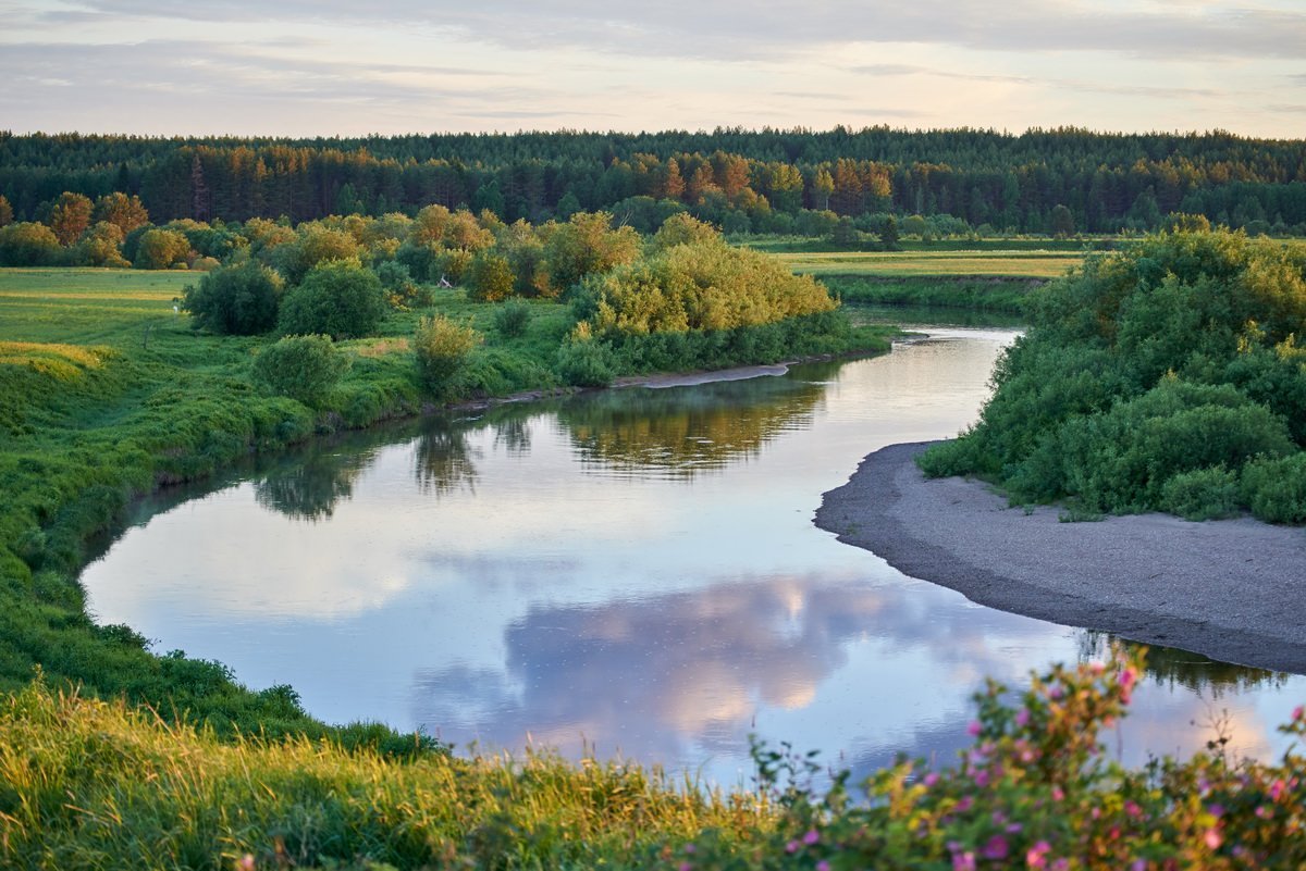Река Сура в Чувашии