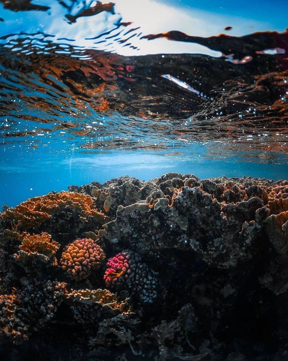 Острова в коралловом море