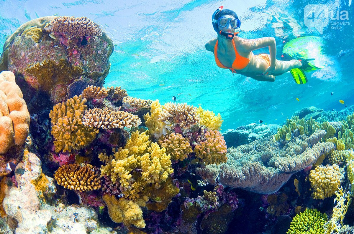 Снорклинг Шарм Эль Шейх