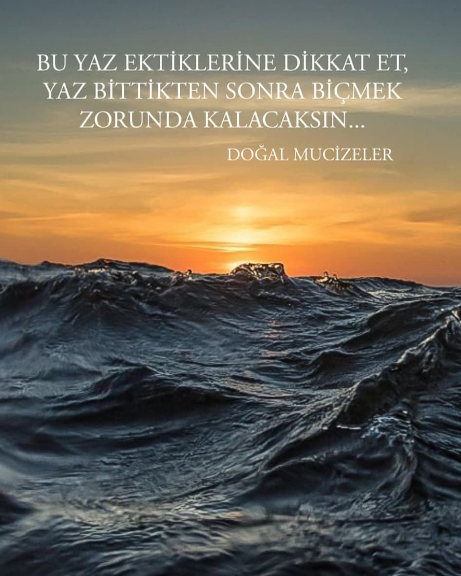 Самое плотное море