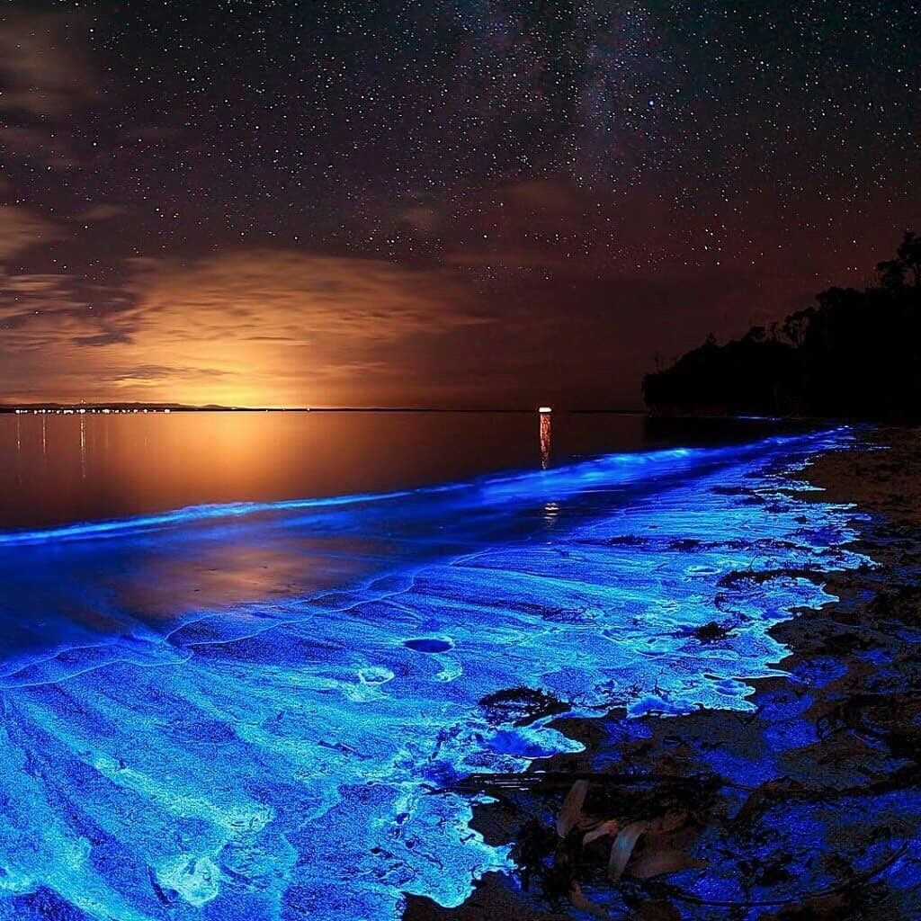 Полночное море