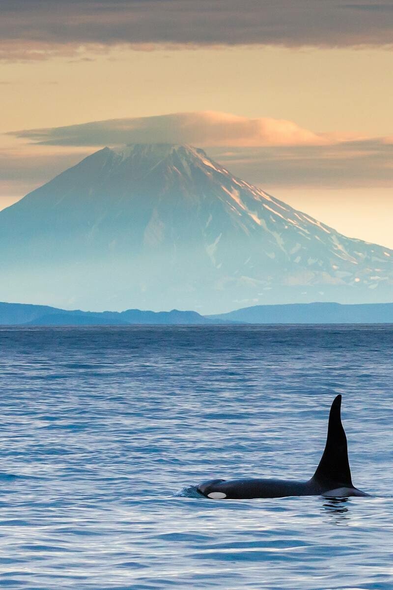 Корякское море
