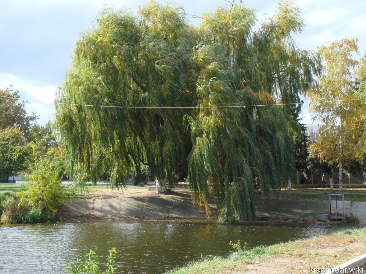 Г Курганинск Краснодарский край