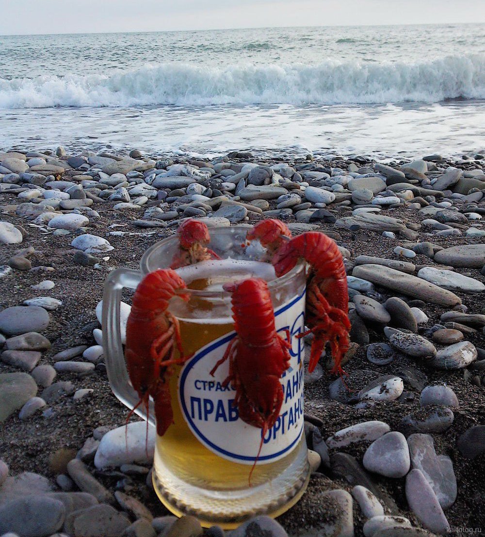 Море пива