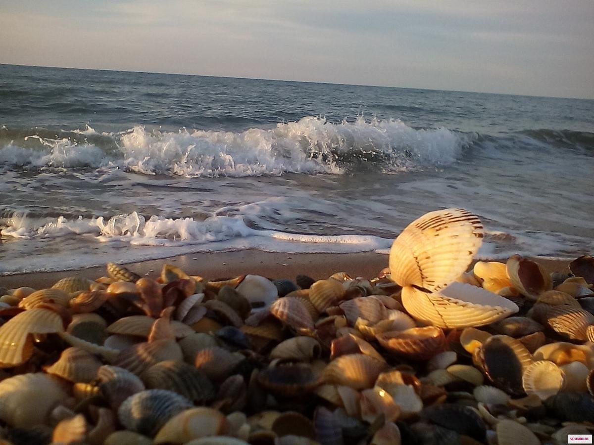 Пересыпь Азовское море