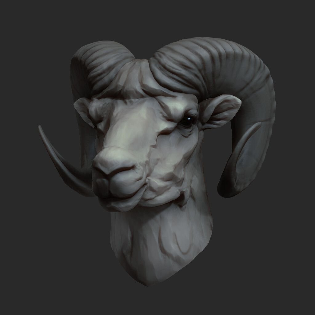 Zbrush животные