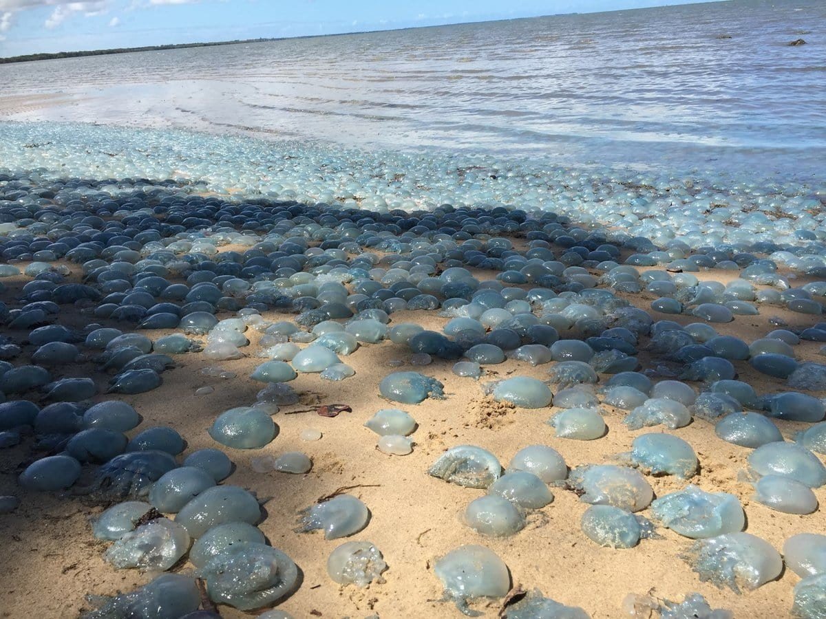 Камни на средиземном море