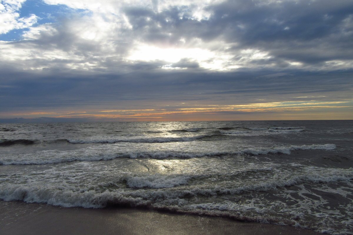 Ганзен Балтийское море
