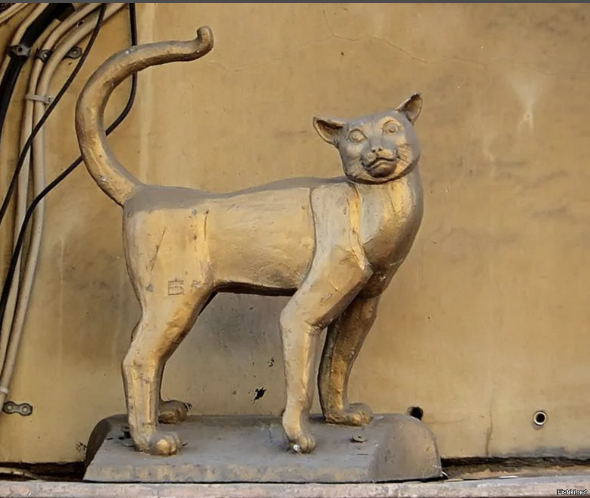 Кот Елисей и кошка Василиса в Санкт-Петербурге