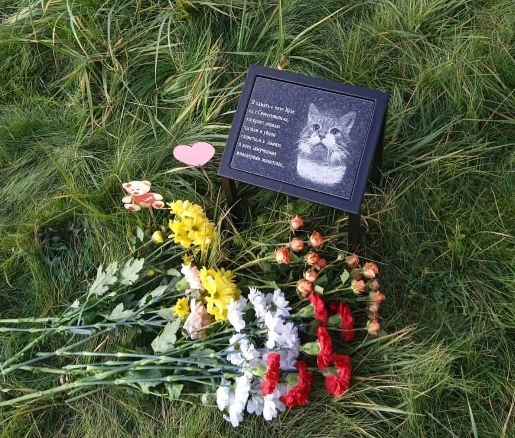 Кот Кузя Северодвинск могила