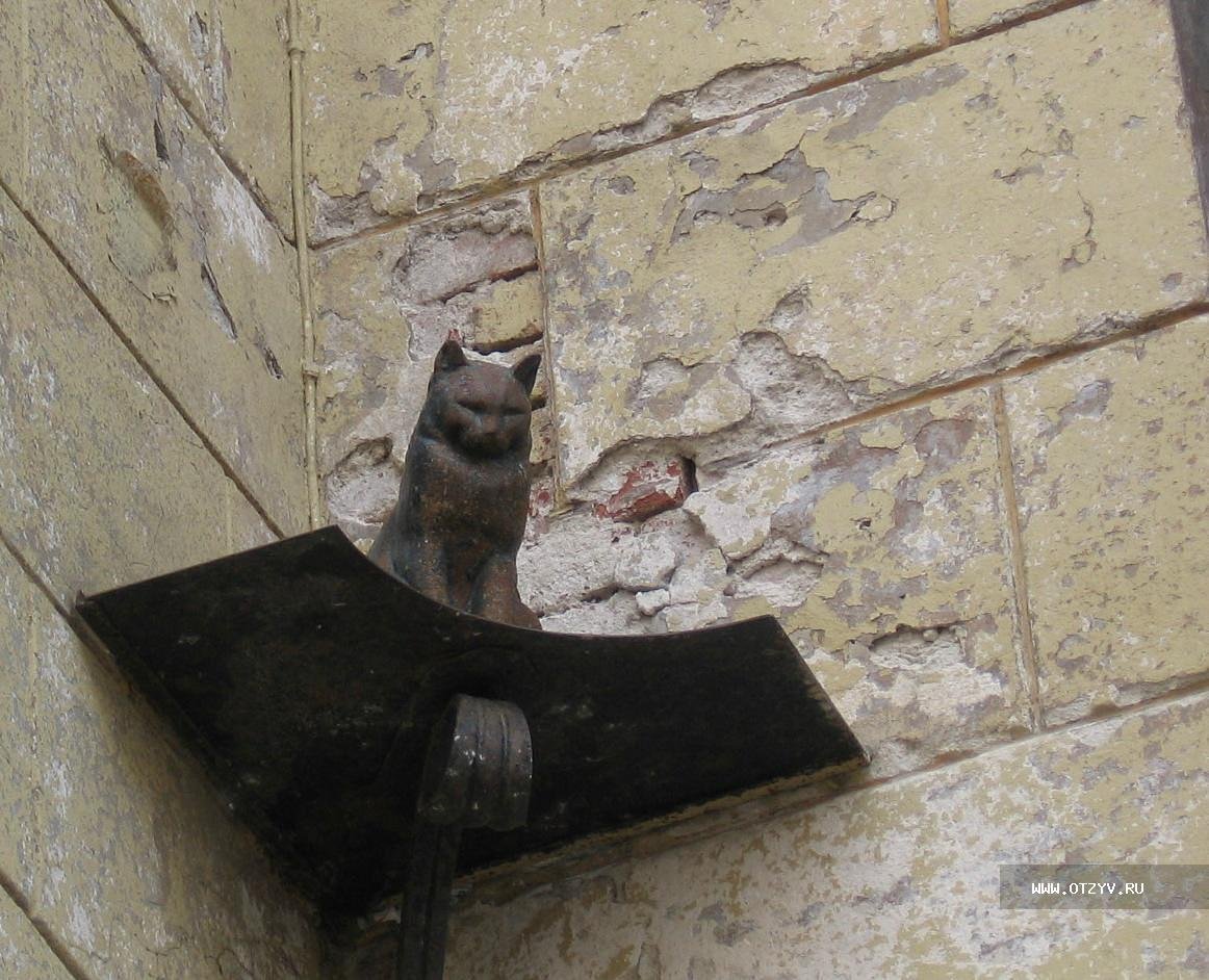 Кот Елисей в Санкт-Петербурге