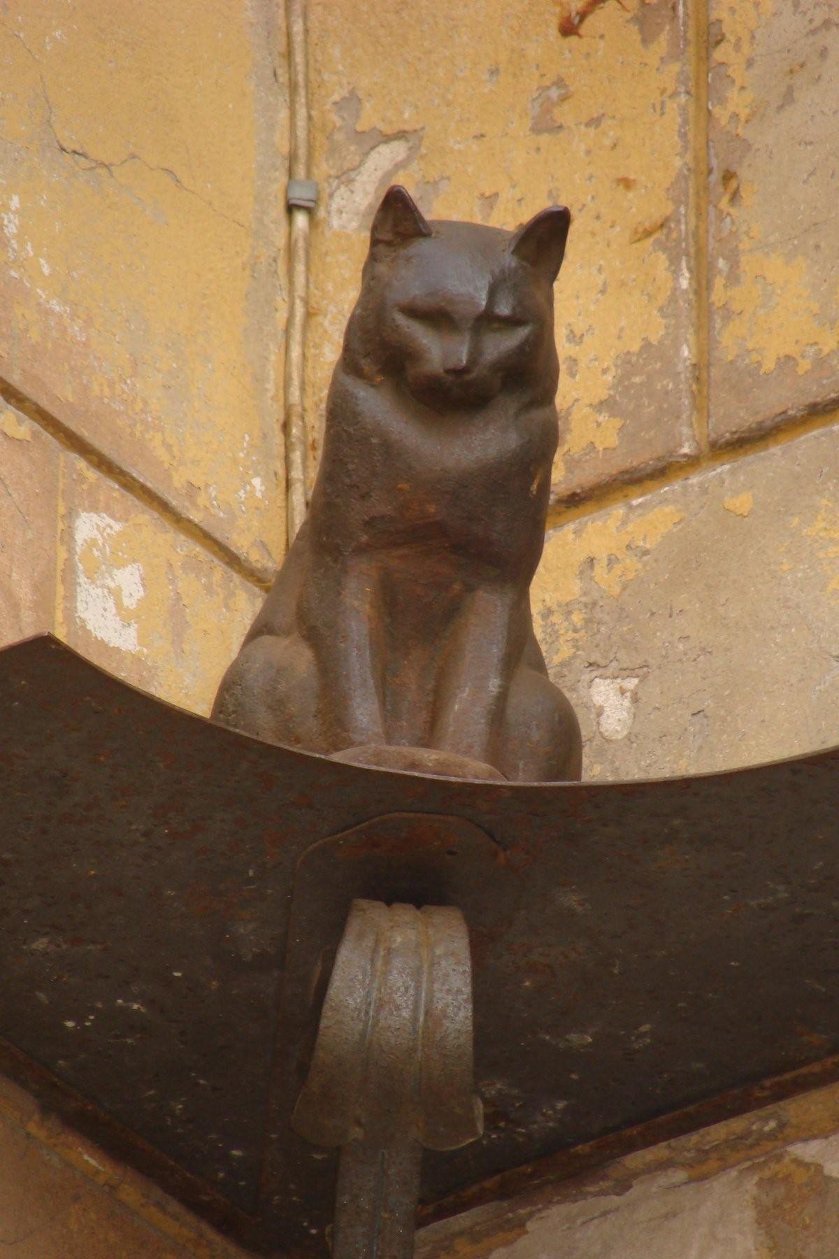 Памятник коту Елисею