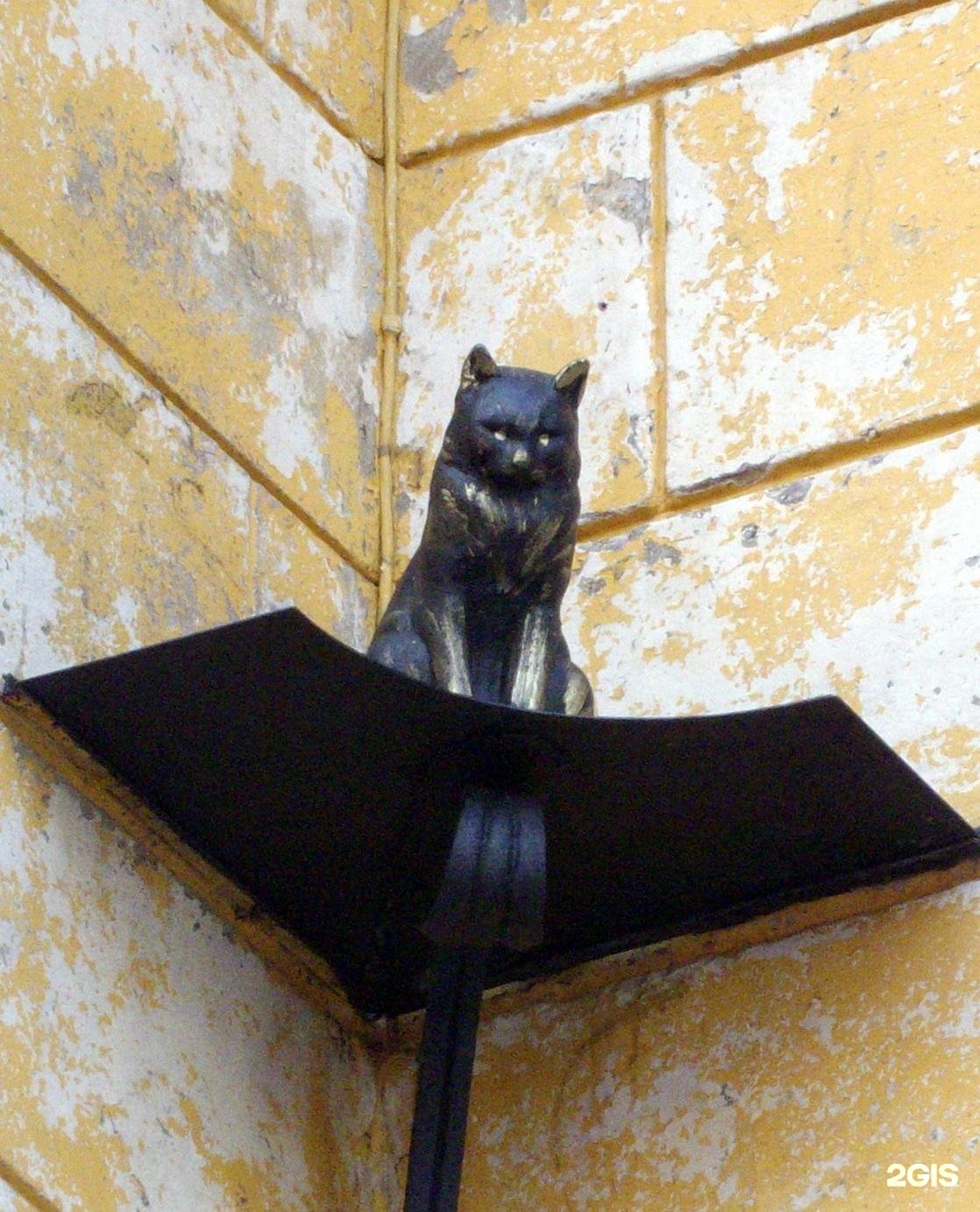 Кот Елисей в Питере