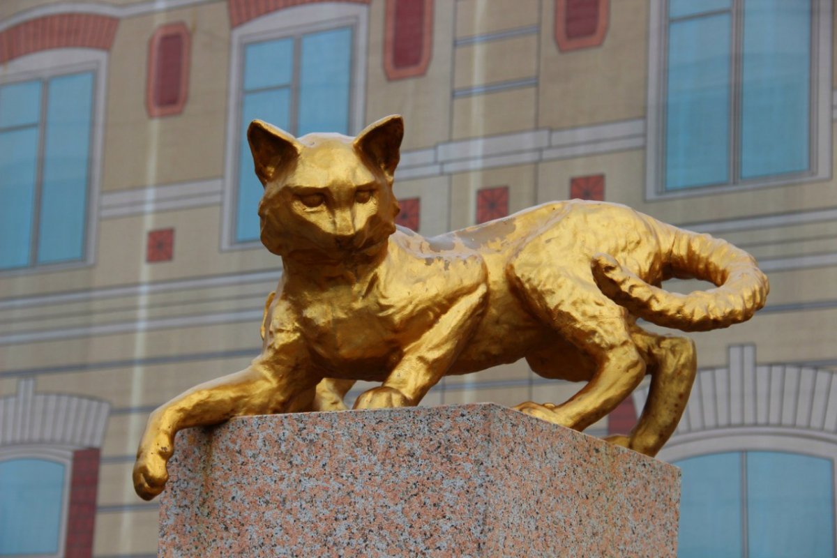 Сквер сибирских кошек Тюмень