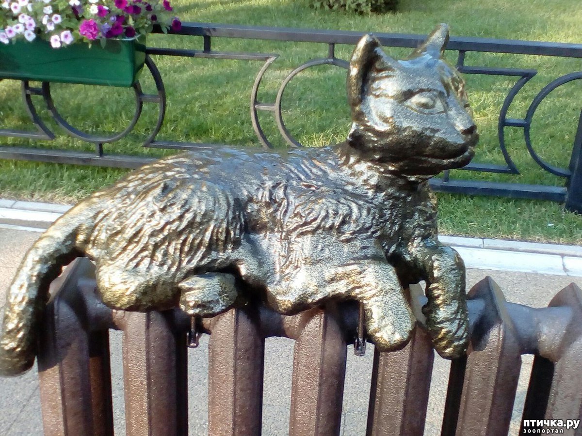 Памятник коту Пермь