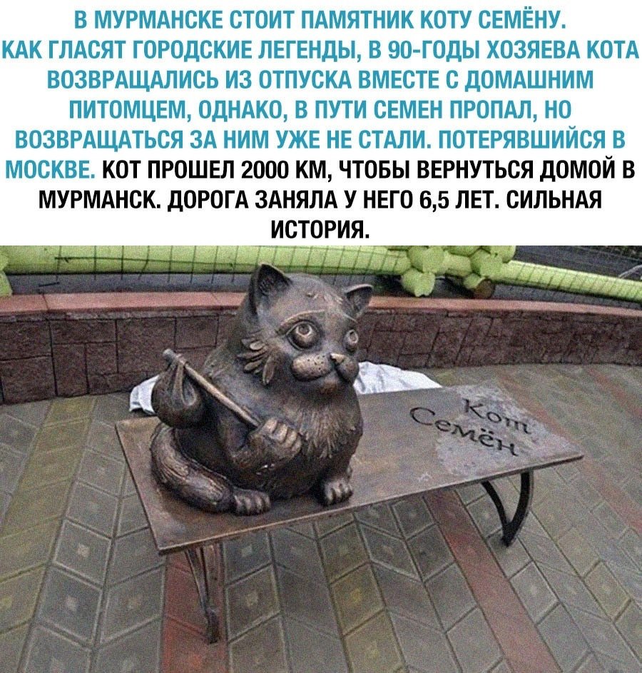 Памятник коту семёну в Мурманске