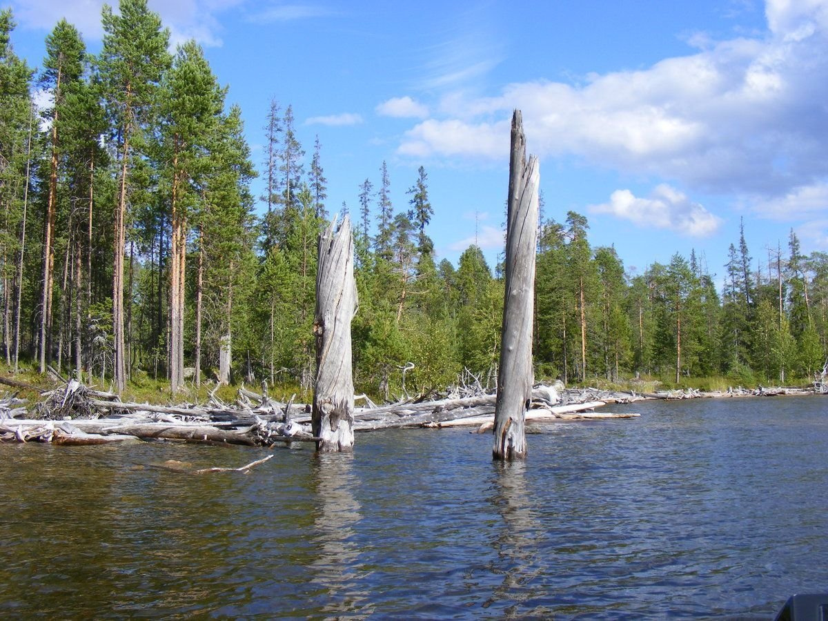 Пяозеро Кумское водохранилище Карелия