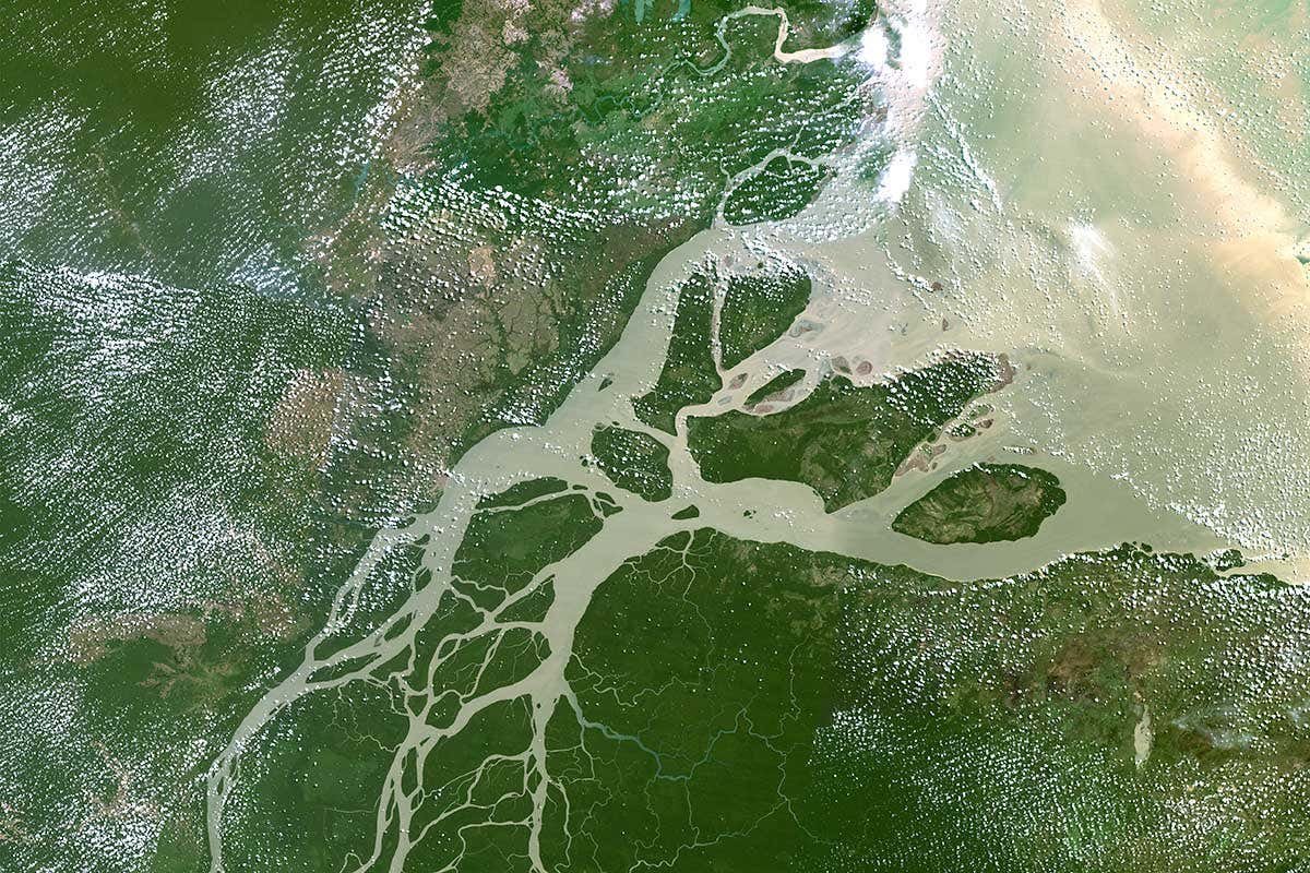 Дельта амазонки из космоса