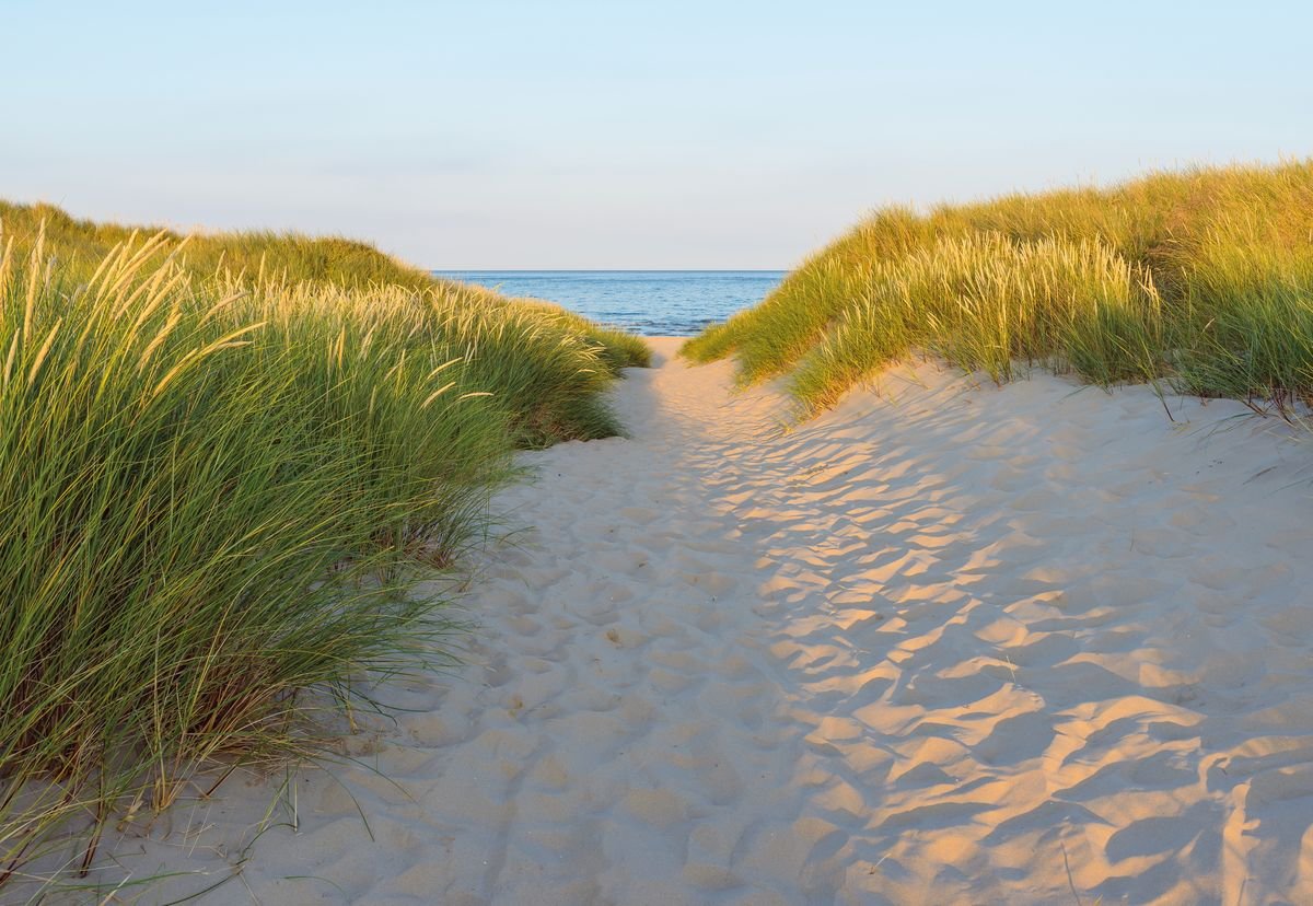 Фотообои Komar Sandy Path