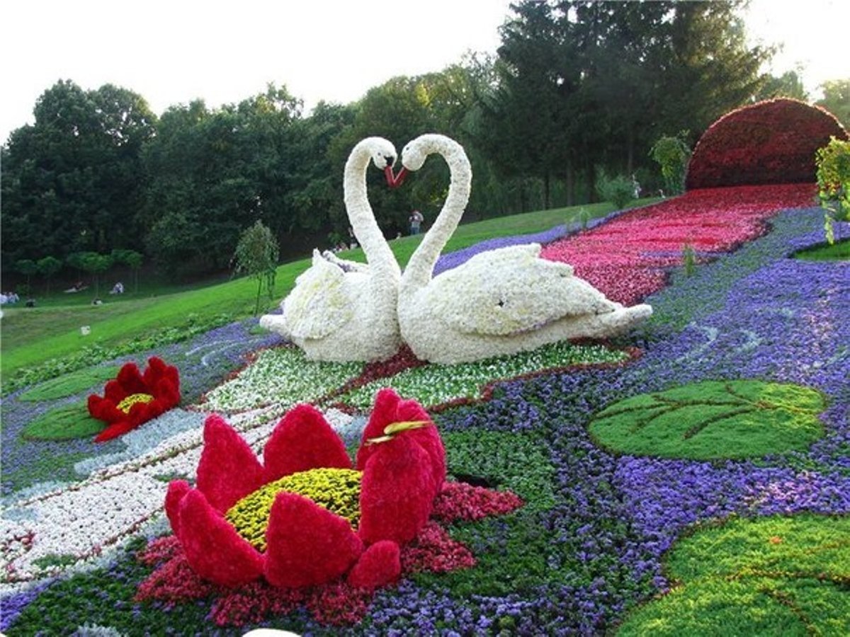 Клумба в форме птицы