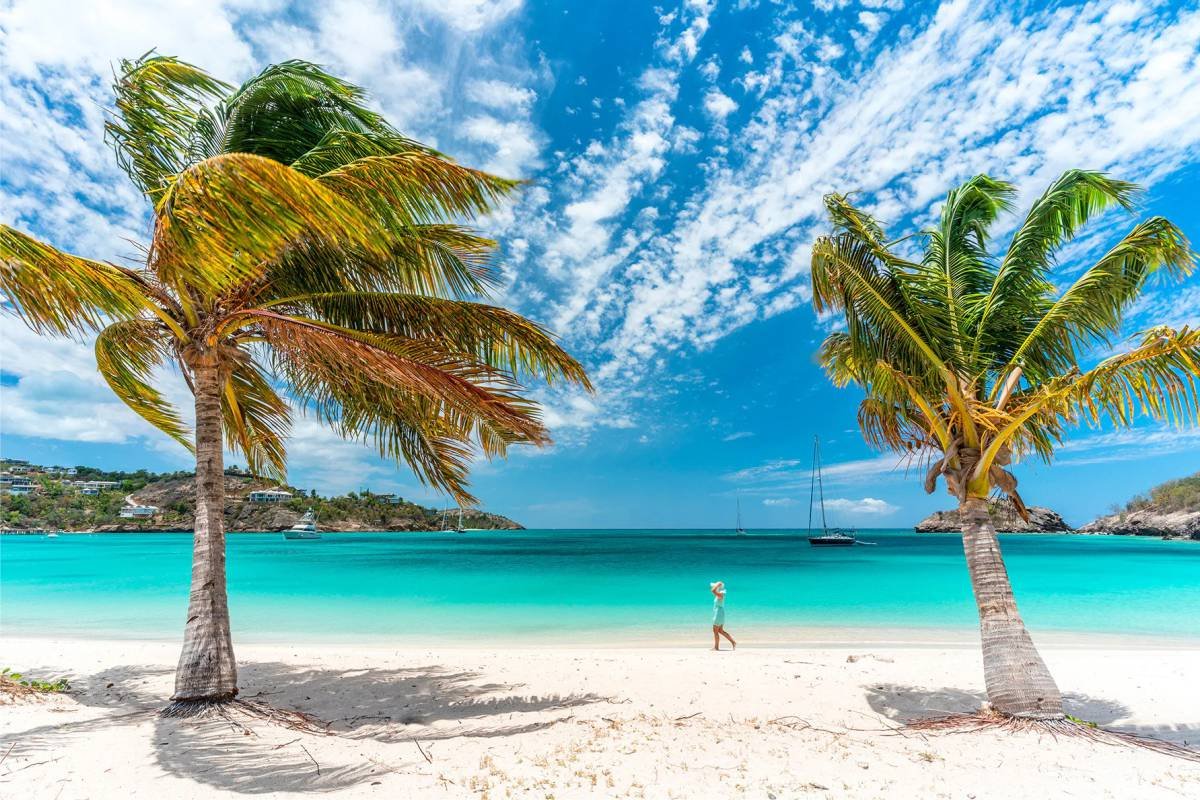 Tropical Caribbean Island Турция