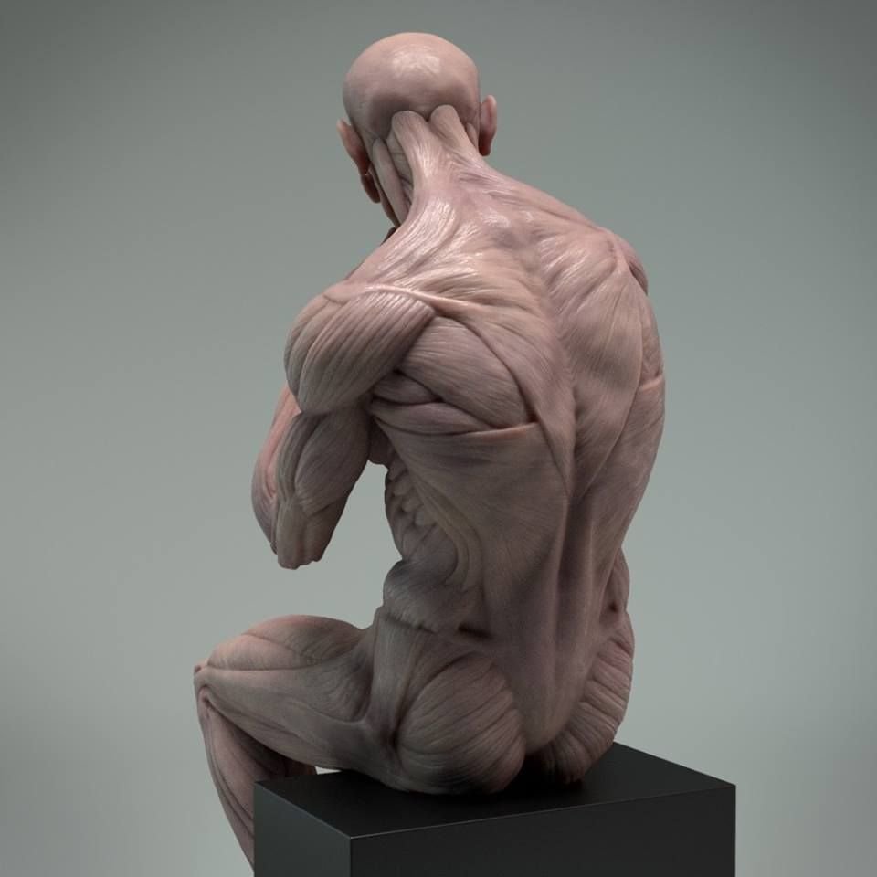 Экорше Микеланджело