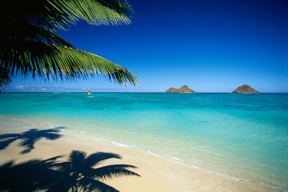 Hawaii фон