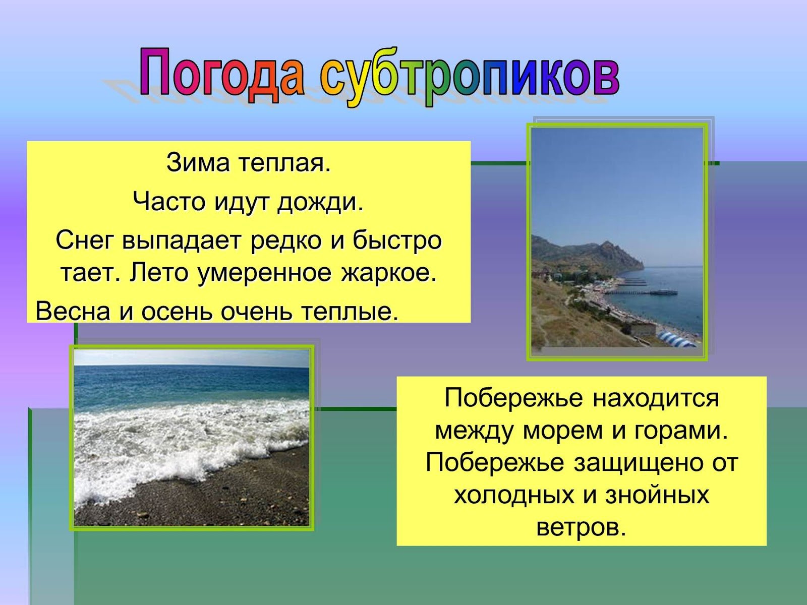 Природные зоны россии сочи. Презентация на тему субтропическая зона. Природные условия субтропиков. Природные условия субтропических зон. Погодные условия субтропиков.