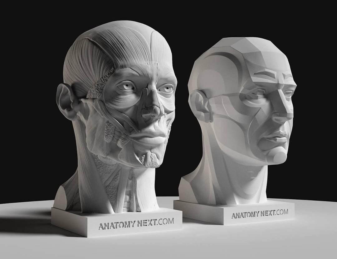 Anatomy for sculptors Uldis Zarins