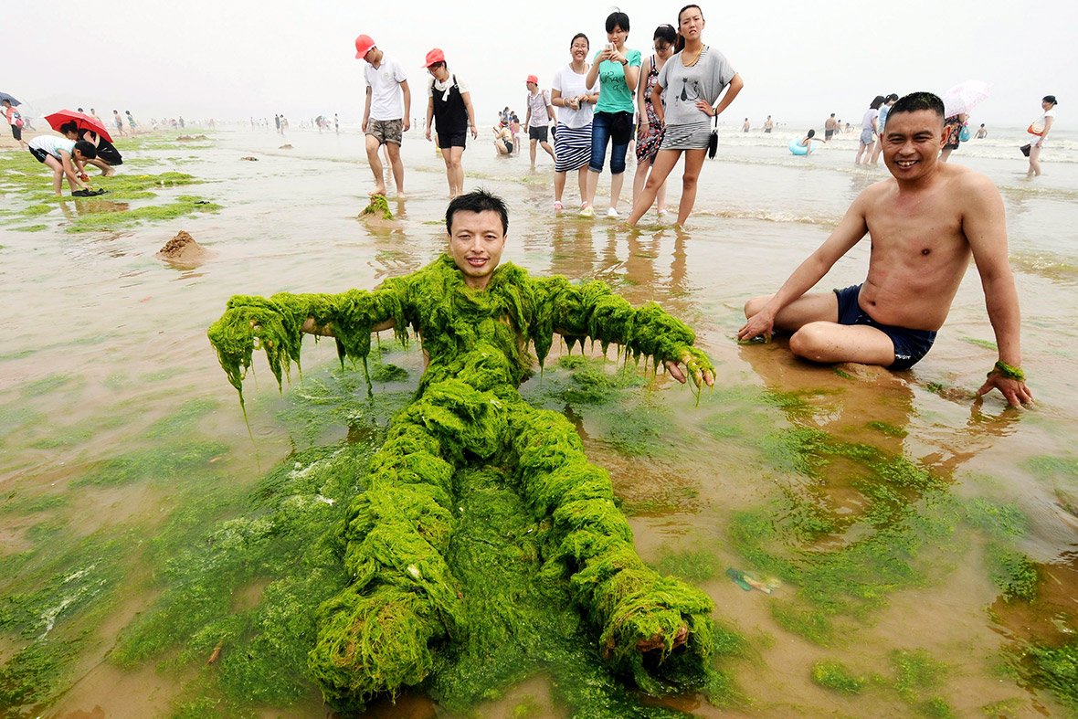 Тина в воде