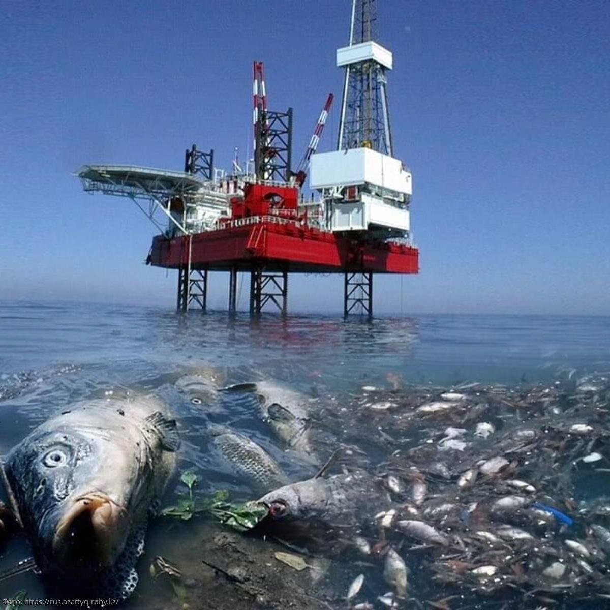Дно каспийского моря