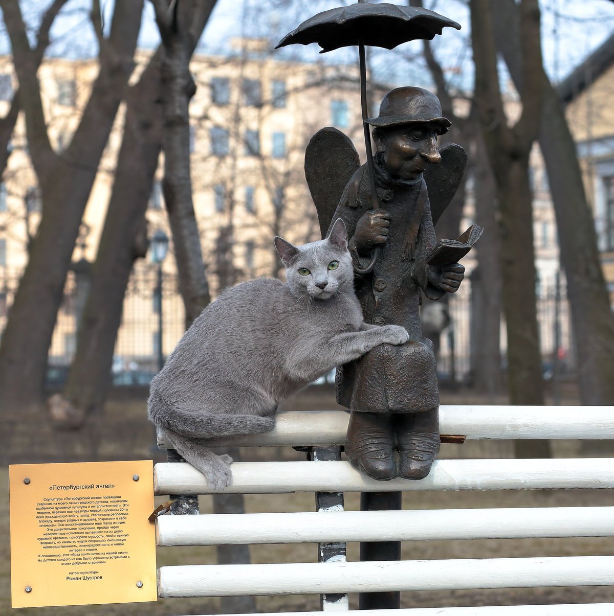 Забавные коты скульптуры
