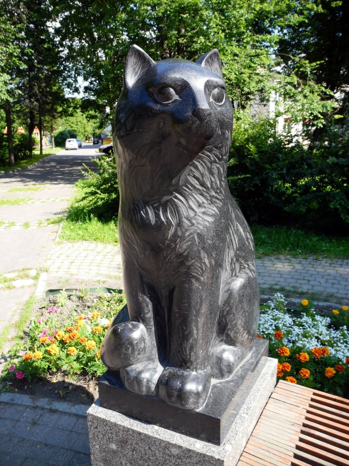 Памятник коту
