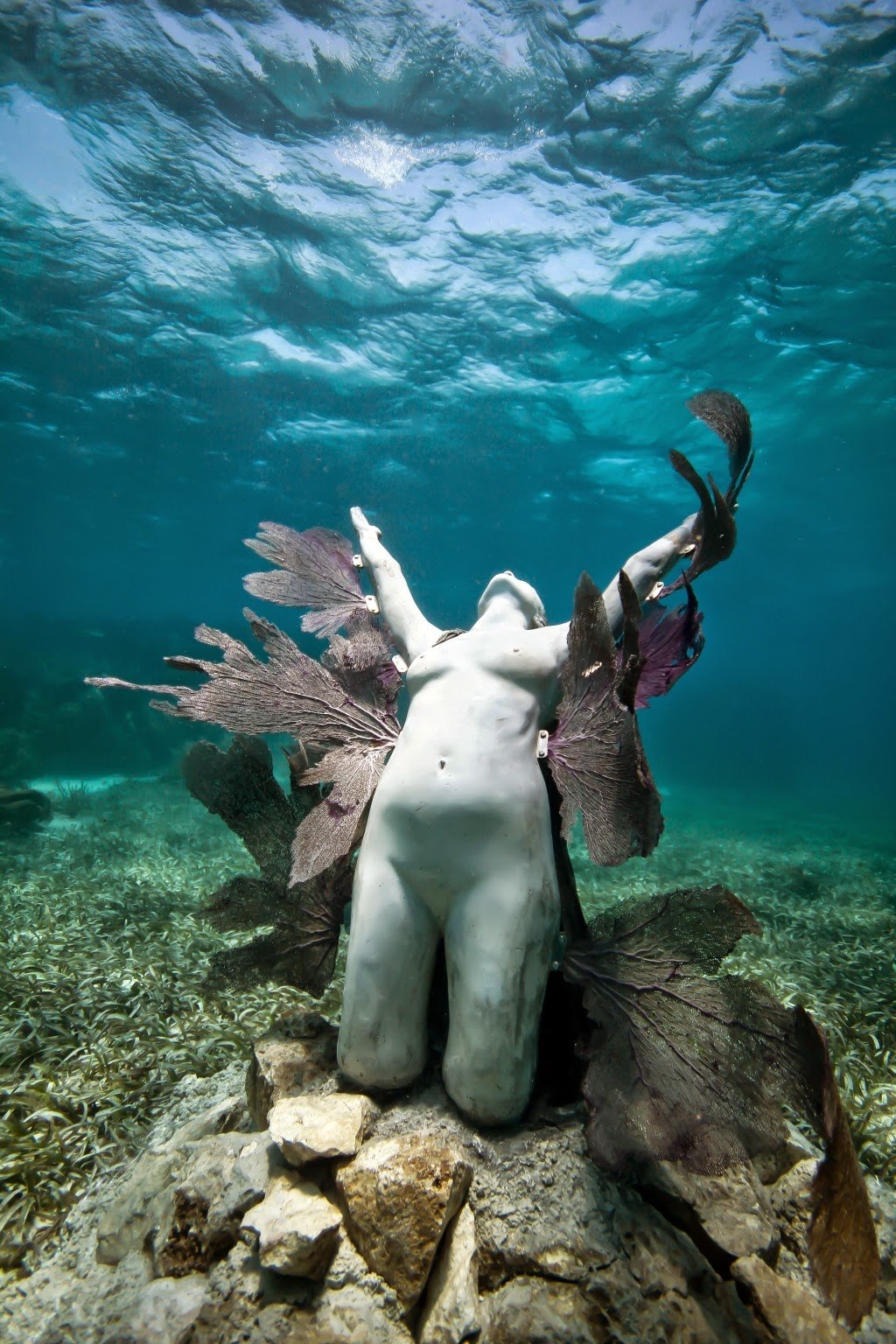 Jason DECAIRES Taylor