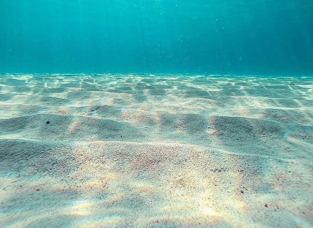 Дно Азовского моря